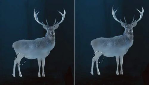 آموزش طراحی گوزن درخشان در فتوشاپ